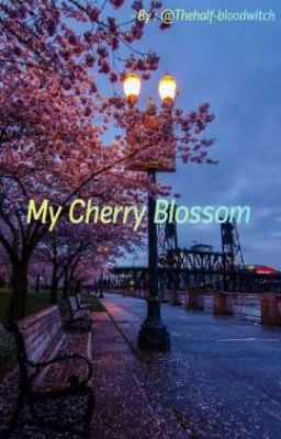 My Cherry Blossom 