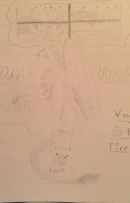 My Drawings ( Wings Of fire and random)