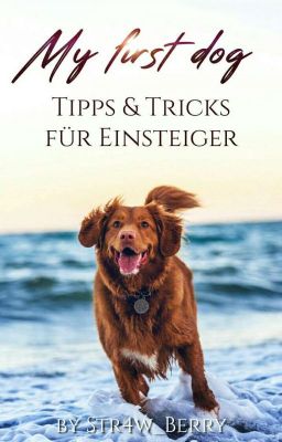 My First Dog - Tipps & Tricks für Einsteiger