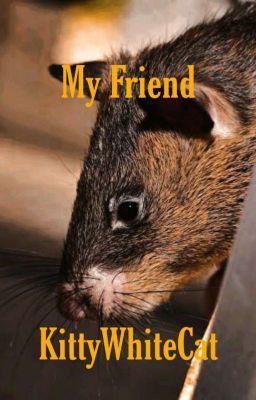 My Friend (an HP Fanfic)