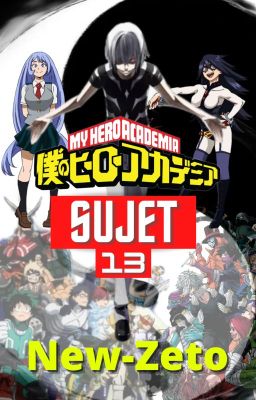 My Hero Academia : Sujet 13