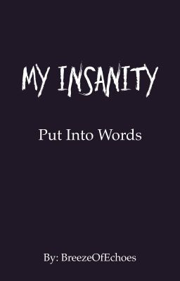 My Insanity Put Into Words