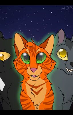 My my OC warrior cats