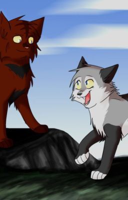 My OC'S! (Warrior Cats)