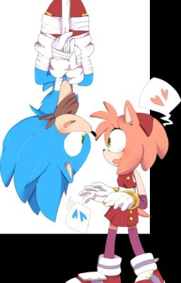 My Opinion on Sonic Couples