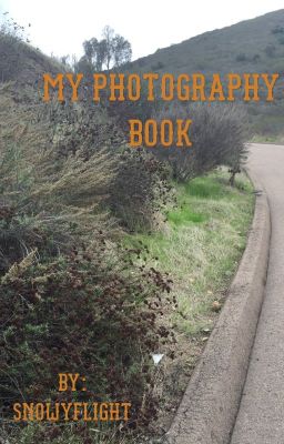 My Photography Book