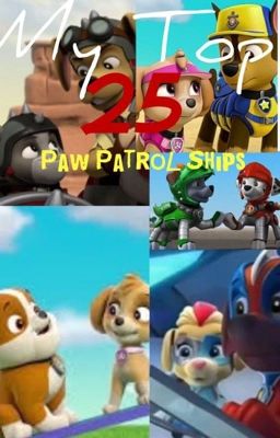 My Top 25 Paw Patrol ships