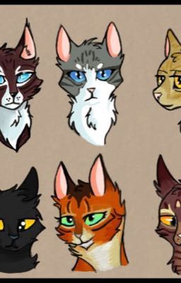 My warrior cat guide 