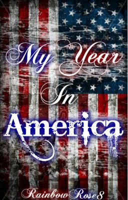 My Year In America