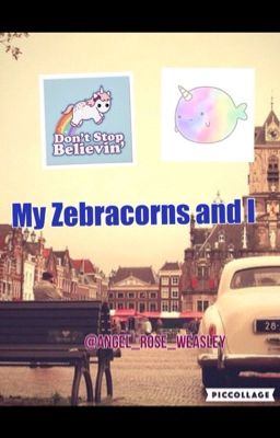 My Zebracorns and I Book