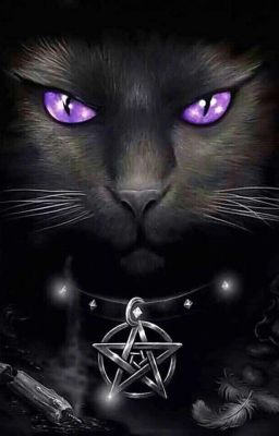 ~Mystic~ {cat roleplay}