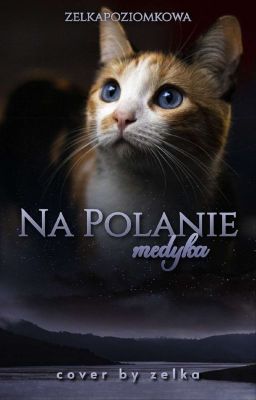 Na Polanie Medyka