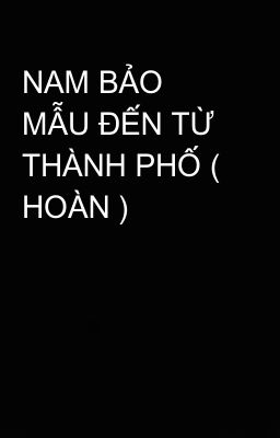 NAM BẢO MẪU ĐẾN TỪ THÀNH PHỐ ( HOÀN )