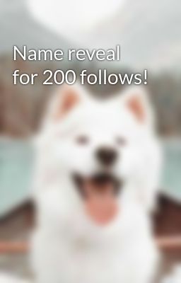 Name reveal for 200 follows!