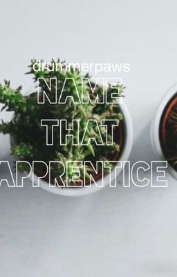 Name That Apprentice