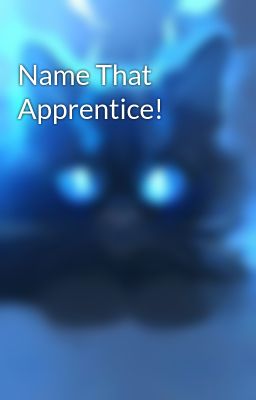 Name That Apprentice!