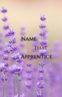 ⌞ Name that apprentice ⌝ 