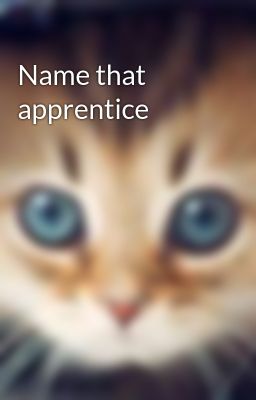 Name that apprentice