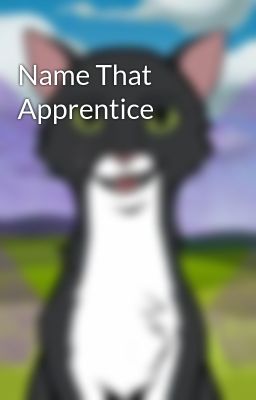 Name That Apprentice