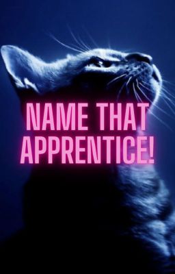 Name that Apprentice!