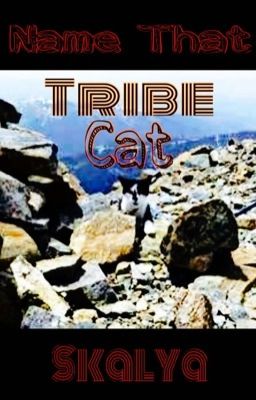 Name That Tribe Cat