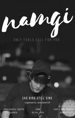 Namgi | Only fools fall for you