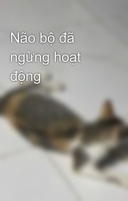 Não bộ đã ngừng hoạt động