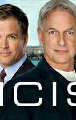 NCIS PREFERENCES & ONESHOTS