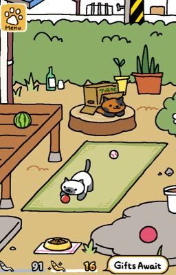 Neko atsume(OLD)