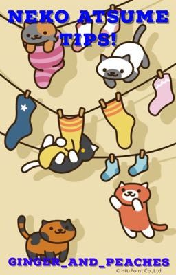 Neko Atsume Tips!