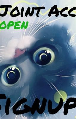 New WARRIOR CAT Joint Account Sign Ups! [OPEN]