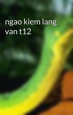 ngao kiem lang van t12