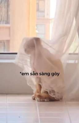 Ngày Bên Em l Đam Mỹ