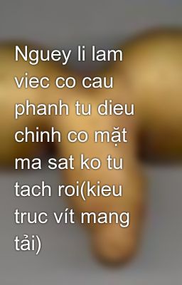 Nguey li lam viec co cau phanh tu dieu chinh co mặt ma sat ko tu tach roi(kieu truc vít mang tải)