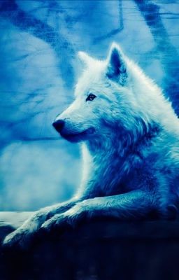 Người tình của sói trắng