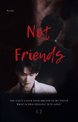 Nguyên Châu Luật || Not Friends (18+)