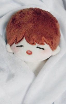 Nhật kí nuôi doll