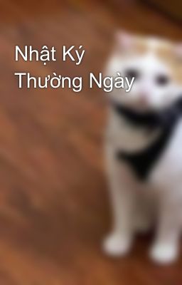 Nhật Ký Thường Ngày