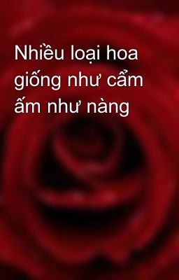 Nhiều loại hoa giống như cẩm ấm như nàng