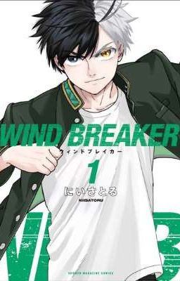 Những cảm nghĩ của tôi về tất tật của Wind Breaker của Nii Satoru. 