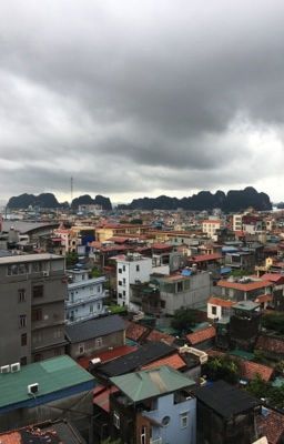 Những chuyện mà  Shiro tham gia