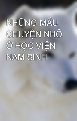 NHỮNG MẨU CHUYỆN NHỎ Ở HỌC VIỆN NAM SINH