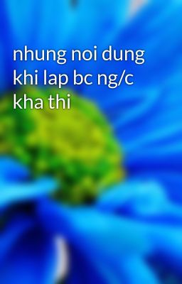 nhung noi dung khi lap bc ng/c kha thi