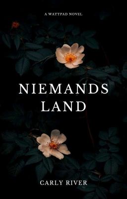 Niemands Land