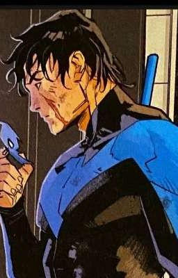 '|^ NIGHTWING Oneshots ^|'