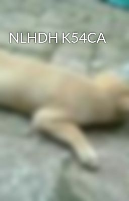 NLHDH K54CA