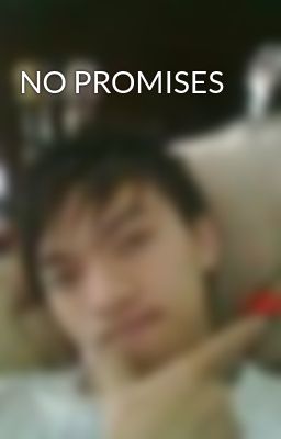 NO PROMISES