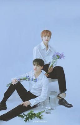 nomin | newlyweds 