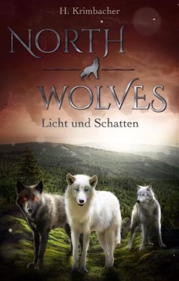 NORTH WOLVES | Licht und Schatten