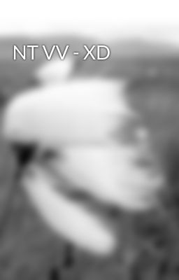 NT VV - XD
